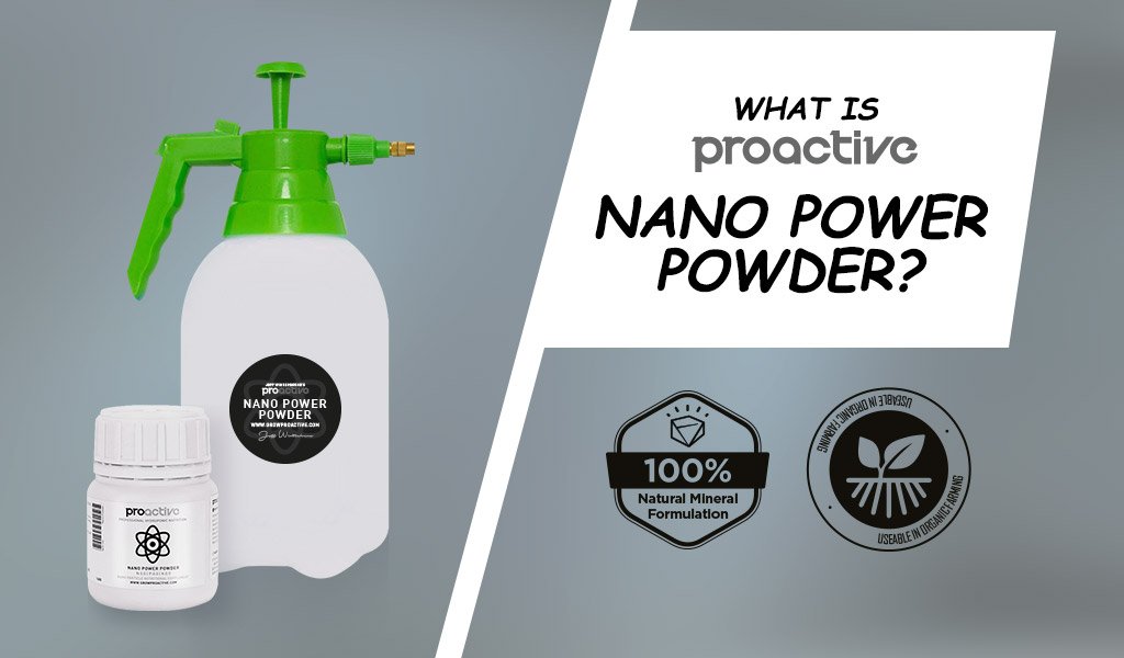 What is ProActive Nano Power Powder?