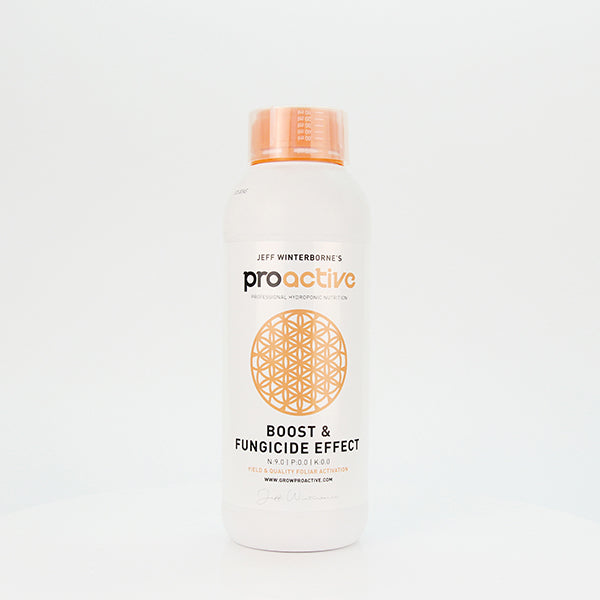 Boost & Fungicide Effect